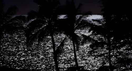 Tempesta Lala alle Hawaii: danni, blackout e ripristino